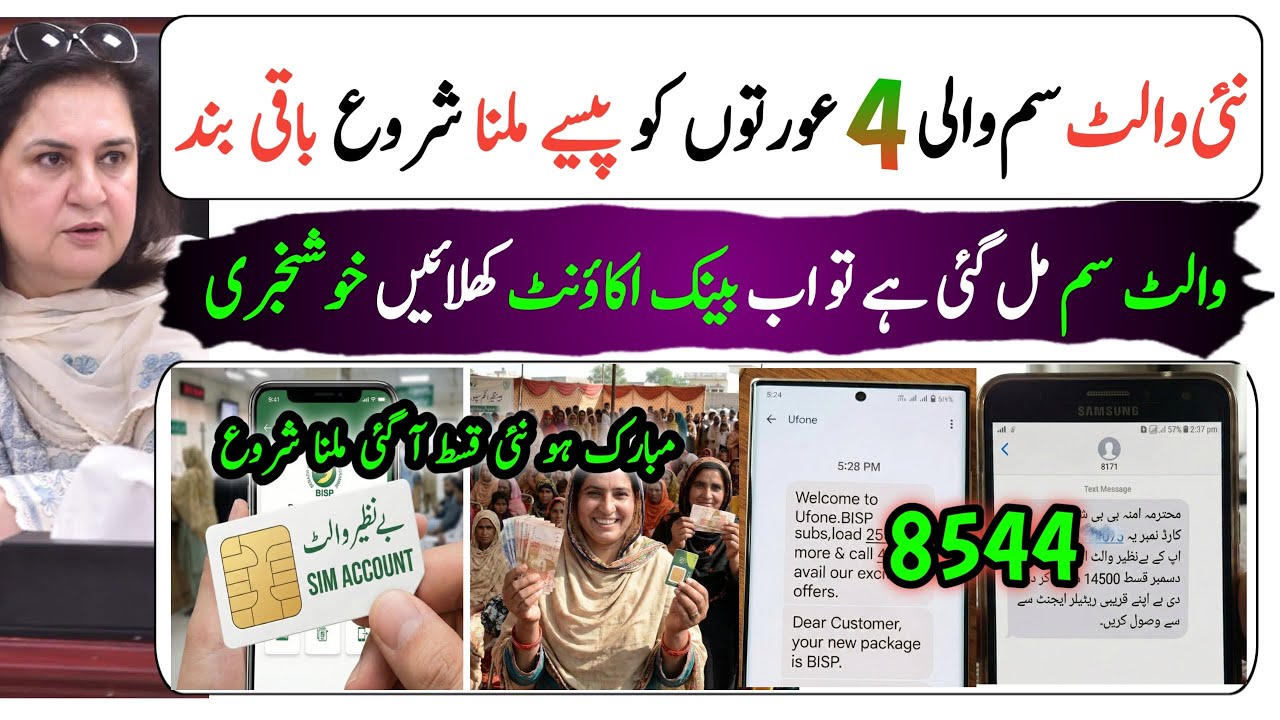 Benazir Wallet Payment & Bisp Wallet Account Guide 💳