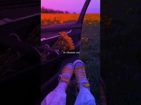 In the Name of Love (lyrics) - Bebe Rexha and Martin Garrix