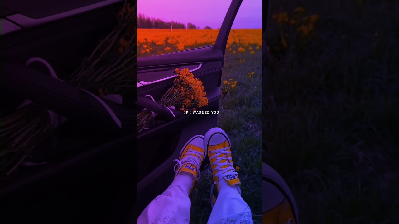 In the Name of Love 🎶 - Bebe Rexha & Martin Garrix Lyrics Video