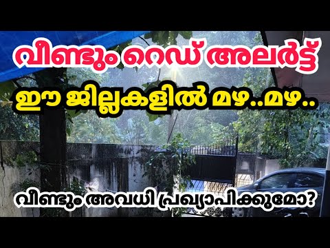 വീണ്ടും റെഡ് അലർട്ട് ഈ ജില്ലകളിൽ മഴ മഴ kerala news| kerala rain news today #weather