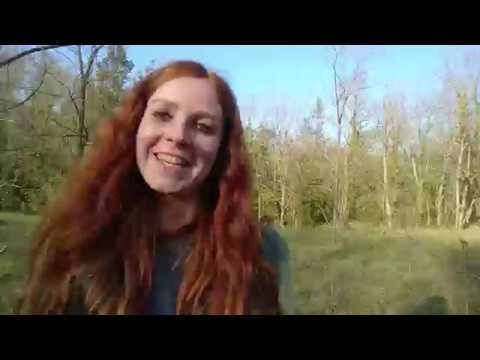 Cingoli, il "Balcone delle Marche" e le sue bellezze