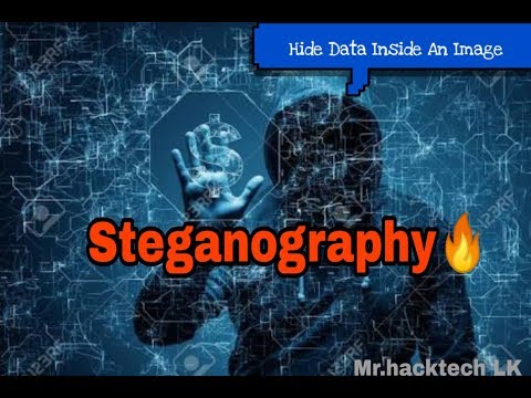 Steganography 🔥Tutorial in Hindi | Hide Data INside Any Image |