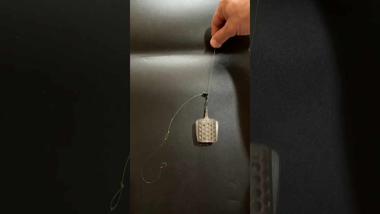 Инлайн и снасть для леща и карася 🎣 — Лучшие фидерные варианты