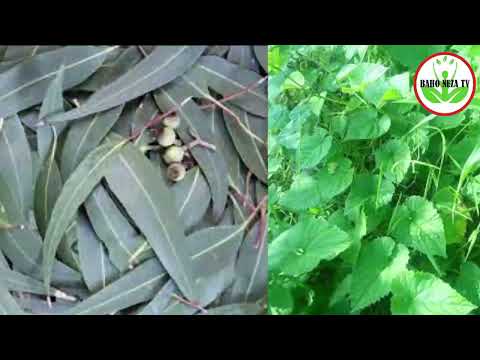 DORE UMUTI UVURA ASIMA(ASTHMA) MU MINSI 14 GUSA UKAJUGUNYA POMPE (BAHO NEZA TV)