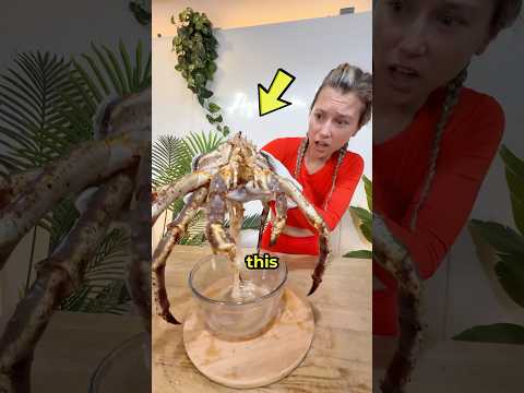 I Found THIS in my Fish Tank 🦀