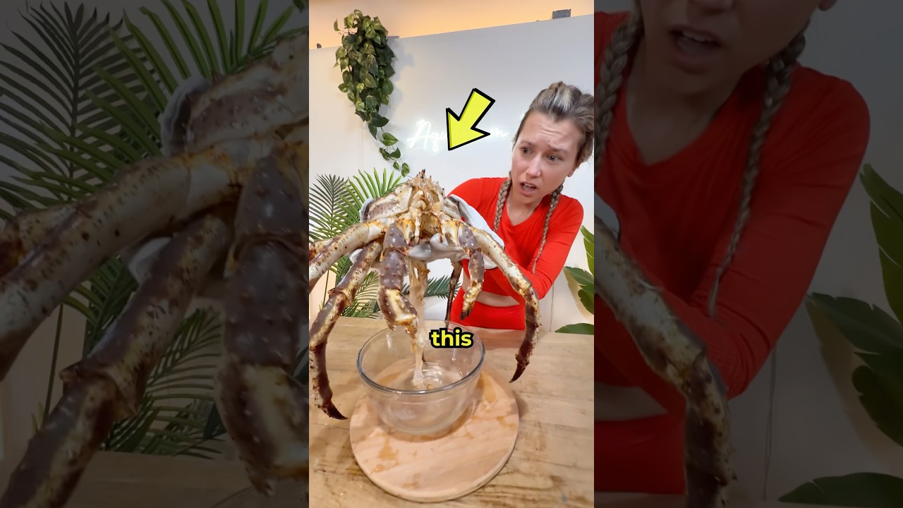 Surprising Find in My Fish Tank π¦