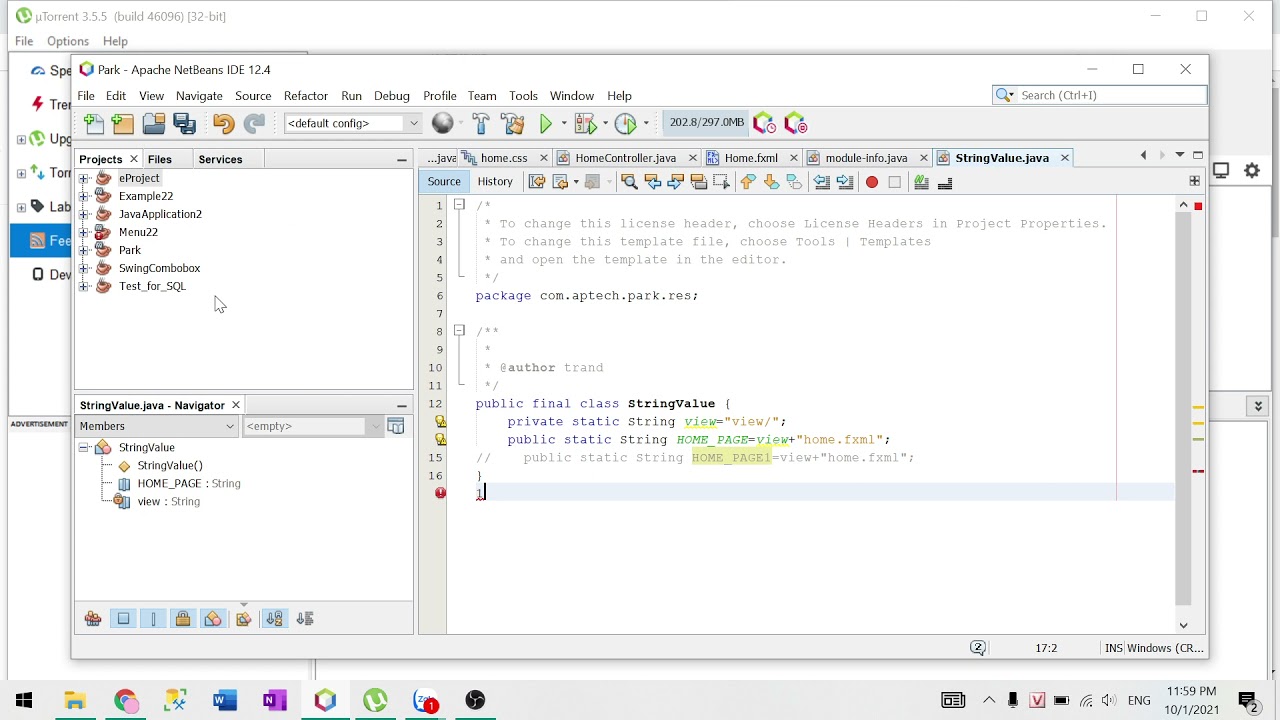 How to View Projects, Files, and Services Tabs in NetBeans IDE