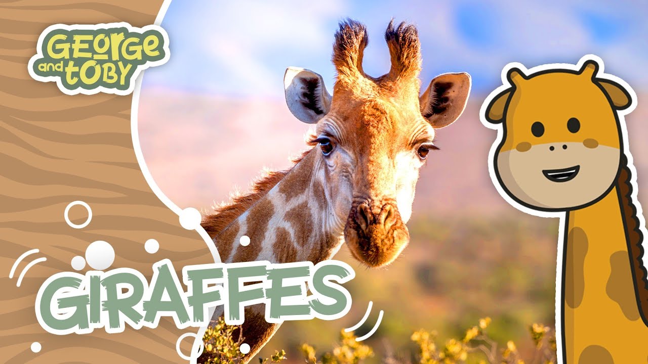 Giraffe Facts for Kids 🦒 | George & Toby Wildlife Rangers