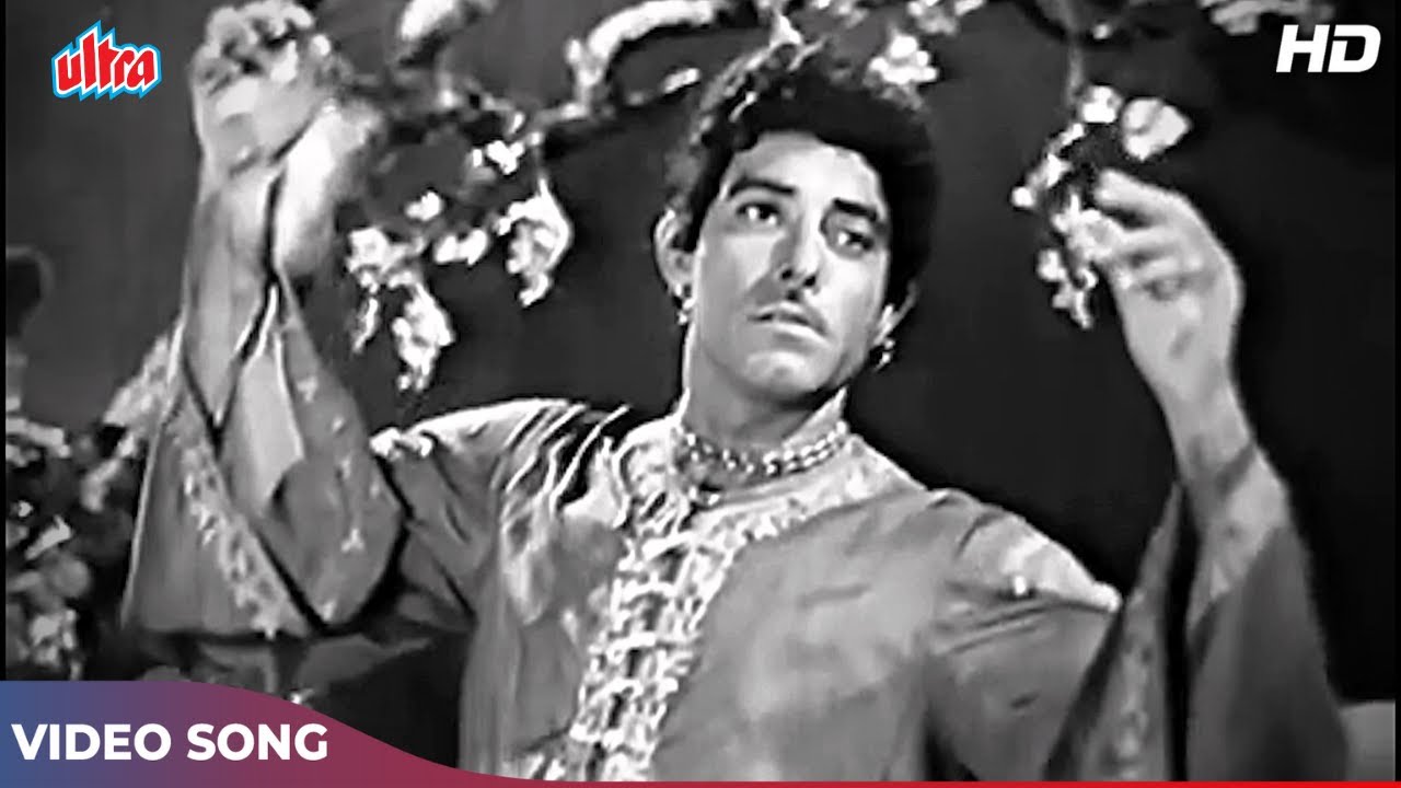 Meena Kumari & Raaj Kumar's Classic Song 🎶
