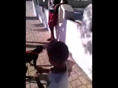 La7ir y3ich (version 3bed) 1