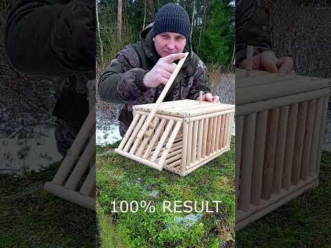 ATTENTION. STOP THE PESTS #trap #survival #trapping