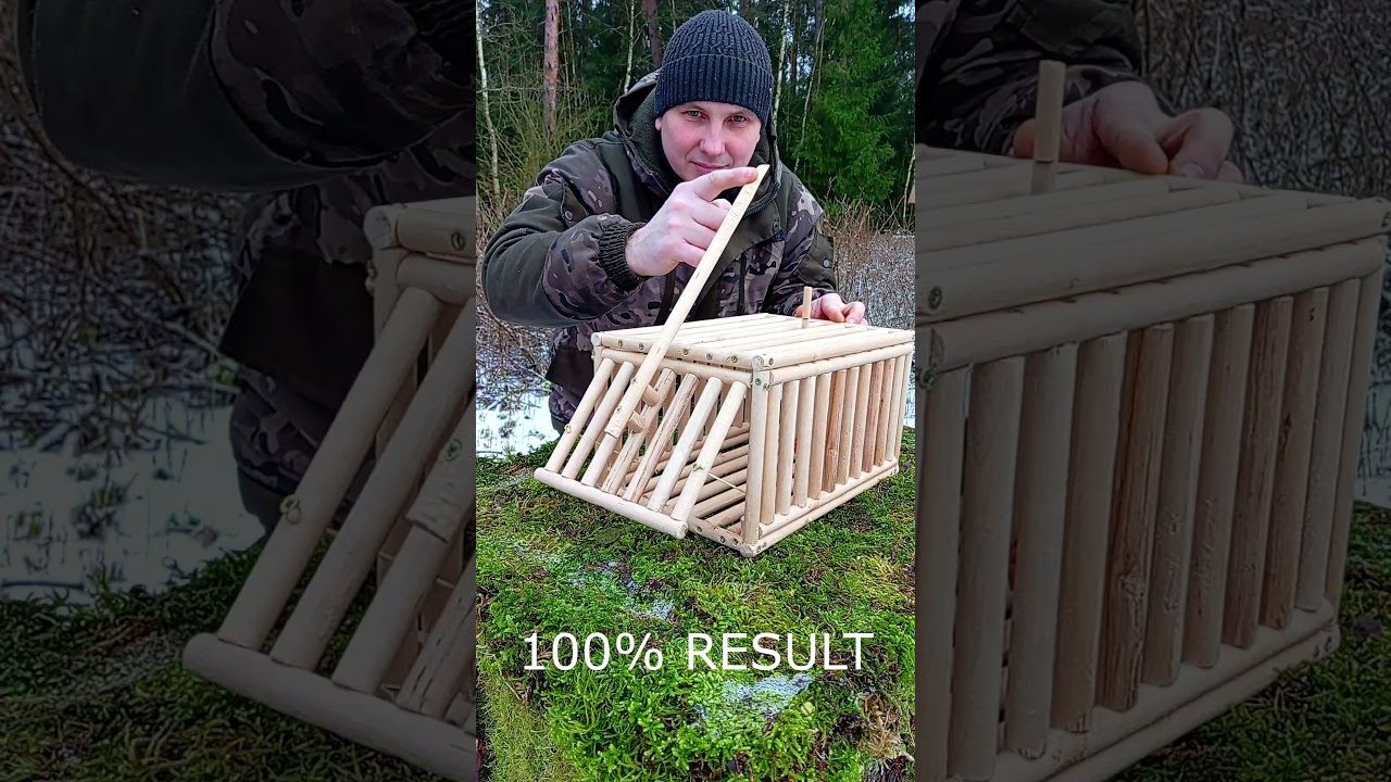 Effective Pest Control Tips to Protect Your Home 🛑