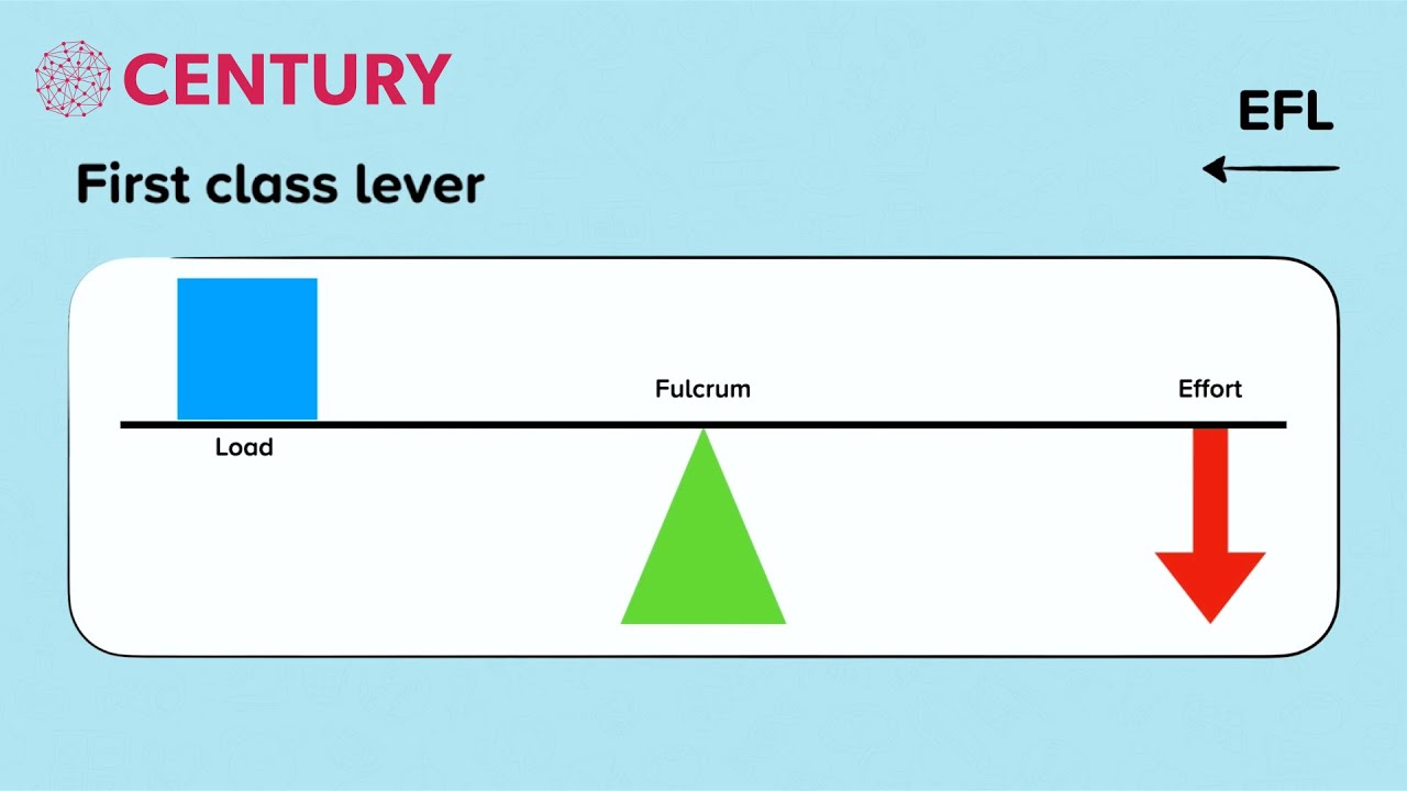 Levers Explained: First, Second & Third Class | PE
