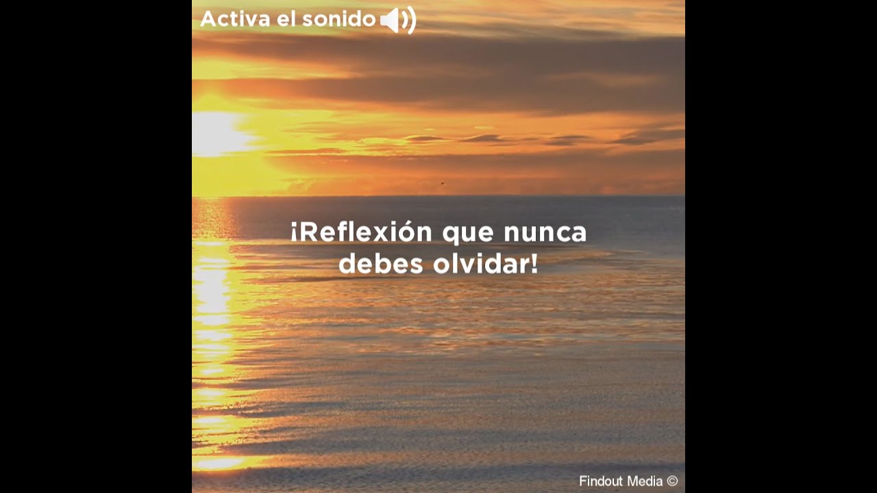 Reflexión que nunca debes olvidar ✨