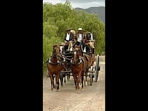 Alejandro y Ramona se ven por primera vez 💘 #Ramona #KateDelCastillo #EduardoPalomo #shorts #tln