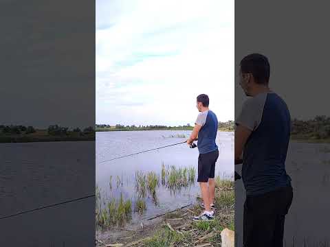 Хочешь поймать крупную щуку на воблер? #рыбалка