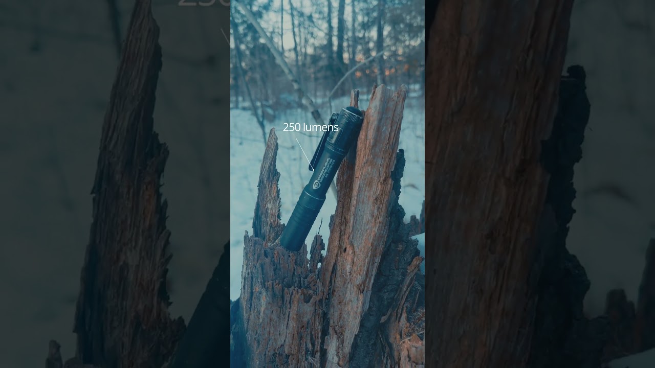 EDC Pocket Dump 2025 ๐ ๏ธ