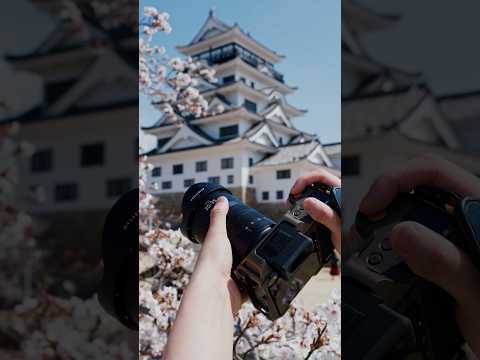 Hasselblad X2D 100C: Capturing Fukuyama Castle in Bloom