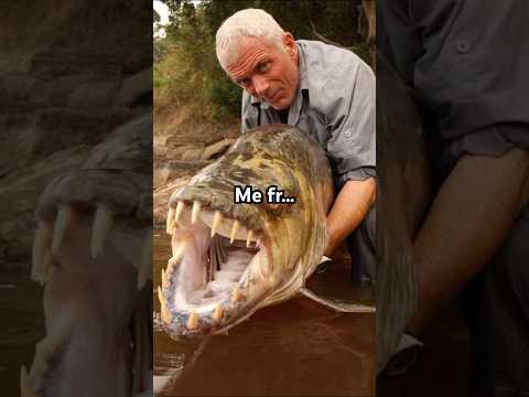 Is this valid!!!😳#fishing#shorts