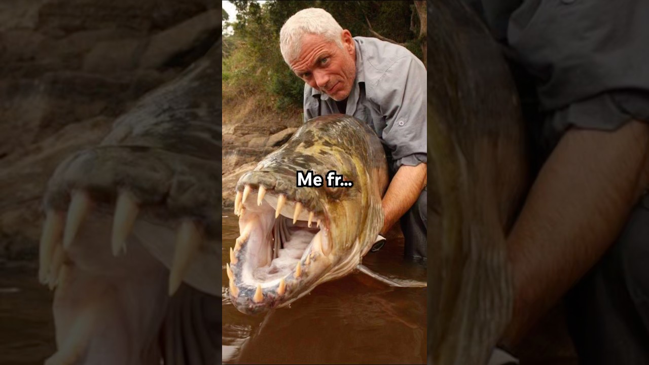 Is This Valid? 🤔 #Fishing #Shorts