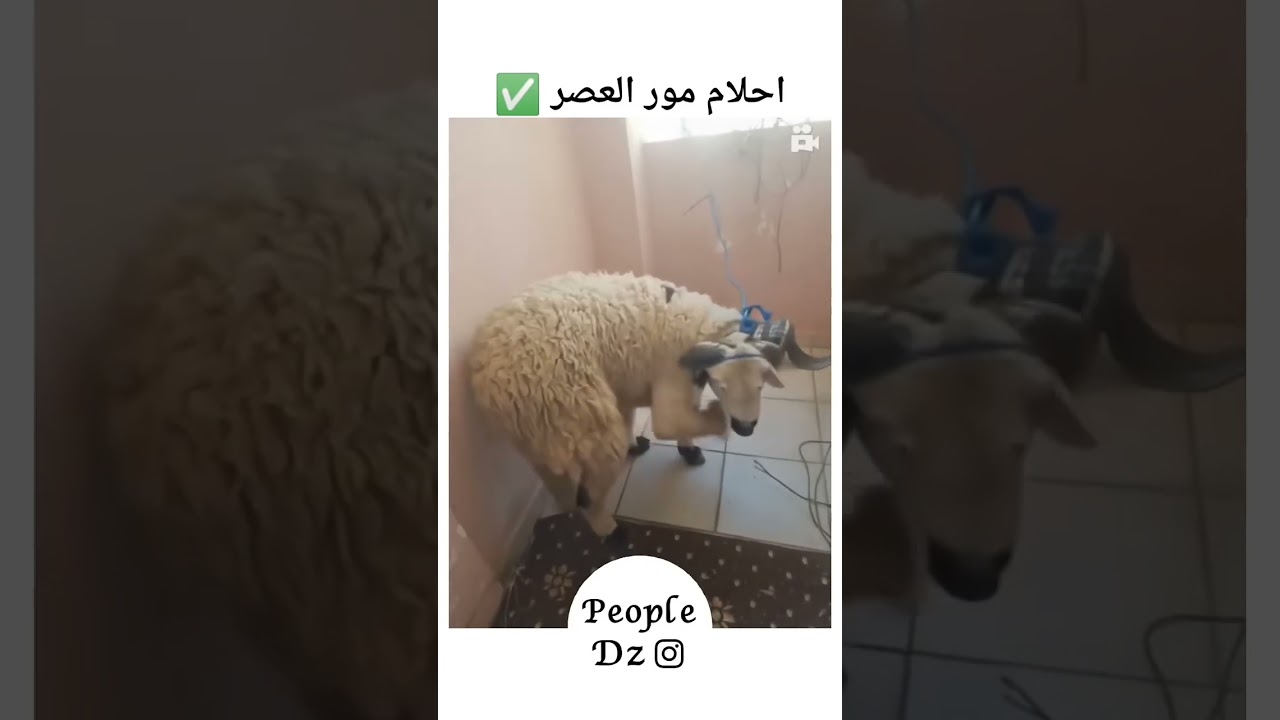 Abonnez-vous à l'équipe 2025 🎶