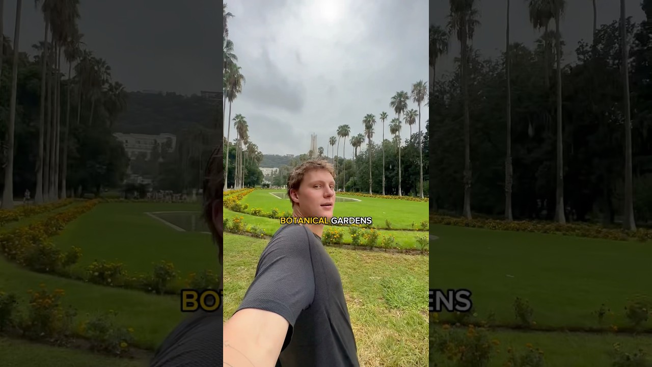 Americans Discover Algiers π©πΏ (Part 2)