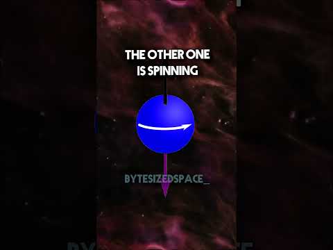 ByteSizedSpace