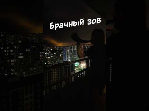 BatyrDinar - как познакомиться с девушкой и женой #batyrdinar