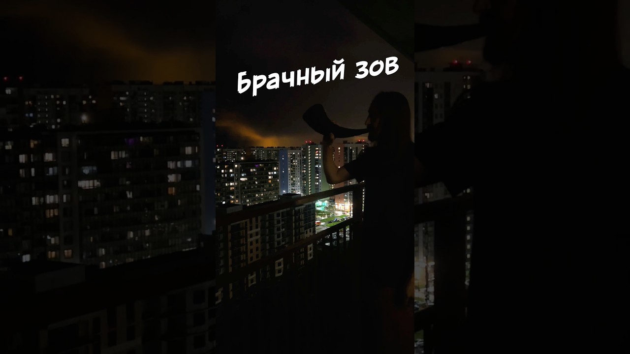 BatyrDinar: Как познакомиться с девушкой и женой 💪