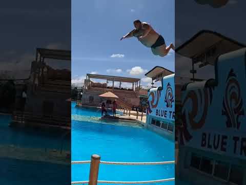 Гриша#Полное ТВ.Приколы