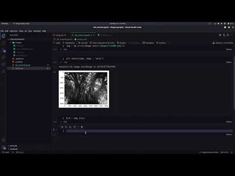 LSB Steganography Python tutorial.