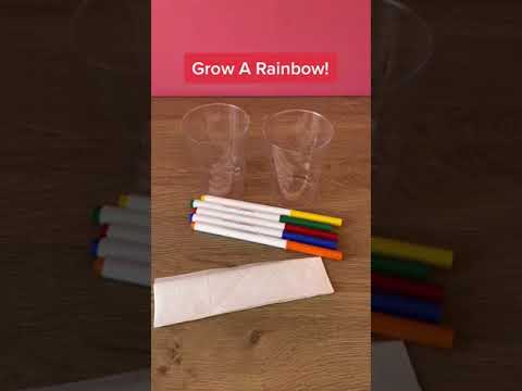 Grow A Rainbow! | STEM For Kids | Science Experiment | #shorts