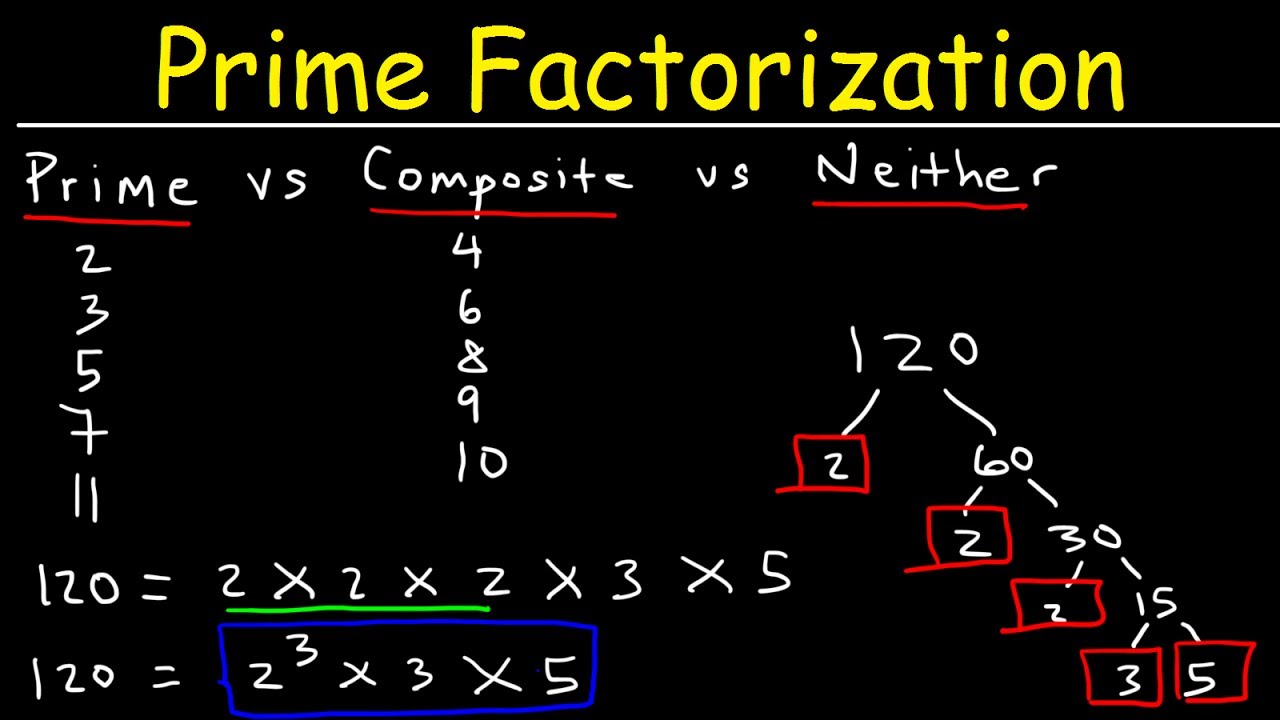 Prime Factorization Made Easy! ๐ข