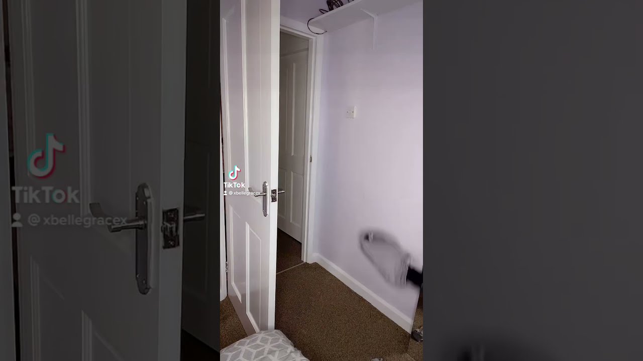 Belle Grace's Viral TikTok Stripping Video