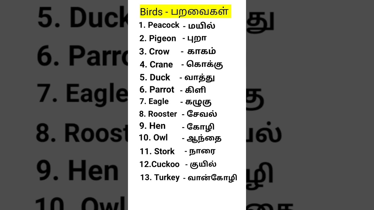 Learn Bird Names & Spoken English - Part 1 🦜