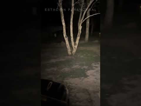 ALGO SINIESTRO RONDABA EN EL BOSQUE #bosque #estacionparanormal #horror