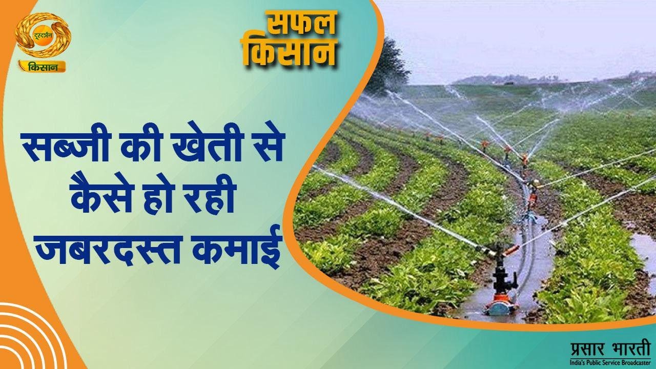 Safal Kisan| सफल किसान- सब्जी की खेती से जुड़े कैसे हो रही जबरजस्त कमाई | DD Kisan | 16/09/2025