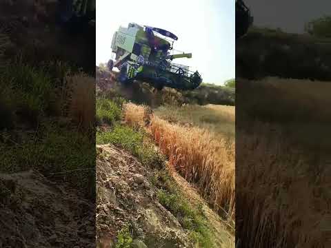 Campaign dhan katene wala Punjabi munda#campainvideo#treandingcaimpan#4kofficalvlogs