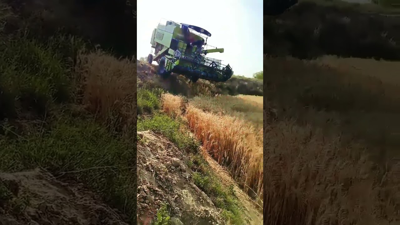 Punjabi Munda's Powerful Campaign to Win Big 💥