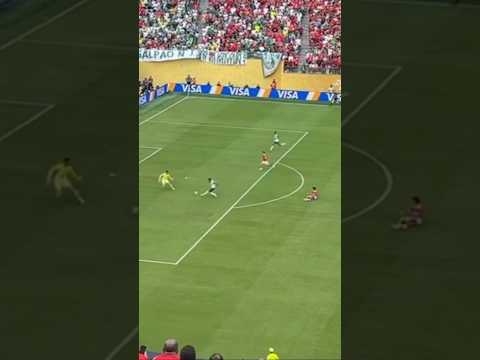 Gol do Flaco Lopez visto da Torcida na Copa do Mundo de Clubes #palmeiras #futebol