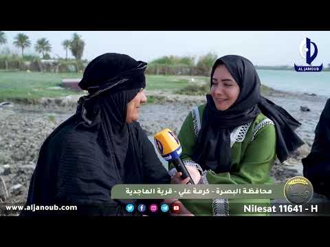 ديرتنا || البصرة - كرمة علي / قرية الماجدية