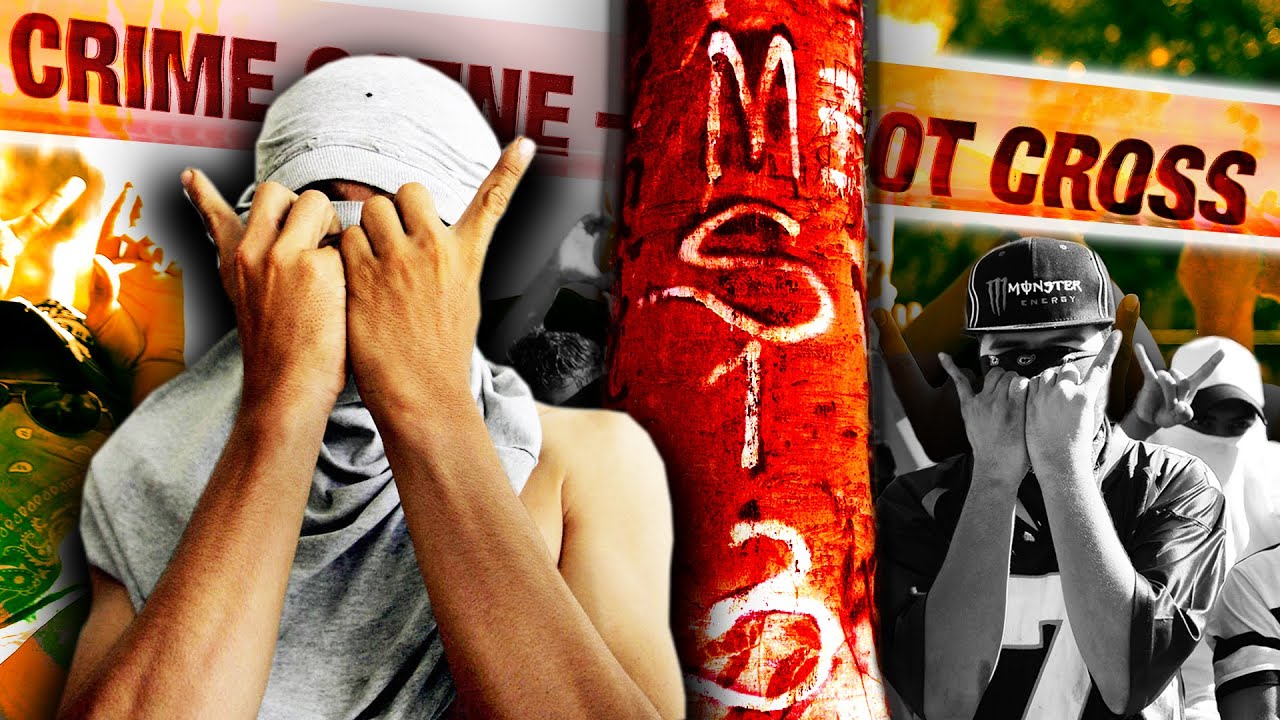 Uncovering the Truth About MS-13: Myths vs Reality 🕵️♂️