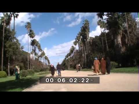 Hussein Dey, Zohir Mer & Sun 🌞