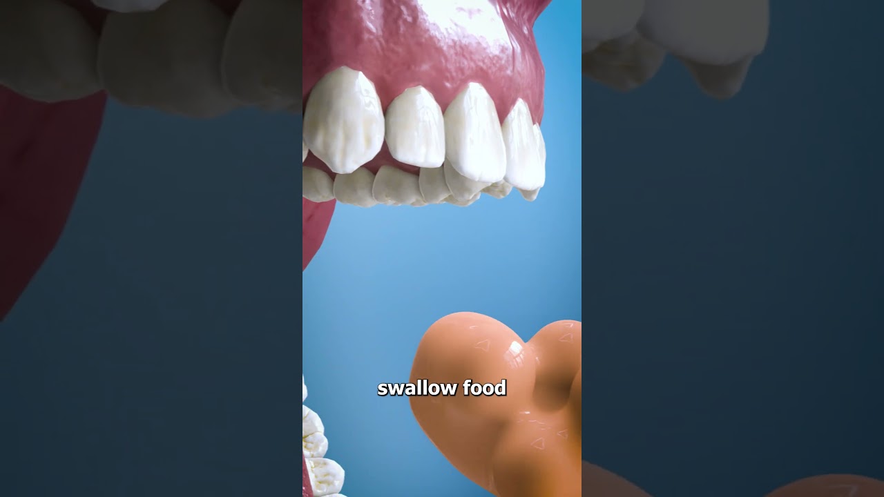 Discover the Surprising Role of Your Uvula 🤔