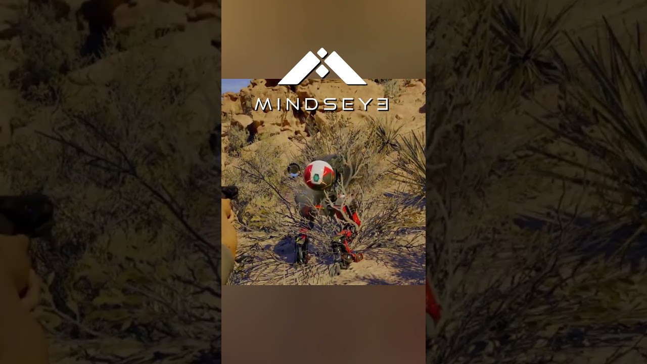 MindsEye Faces Backlash 😠