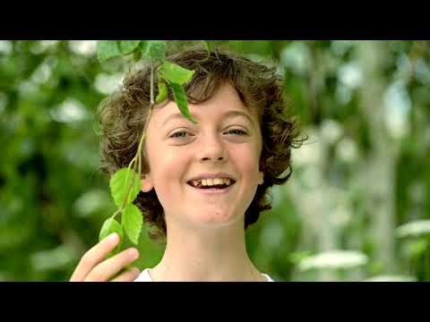 Diritti degli alberi - I Piccoli Cantori di Milano 🌳