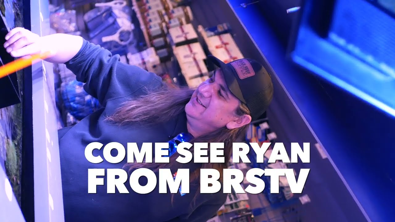 Reef-A-Palooza NY This Weekend π June 25-26