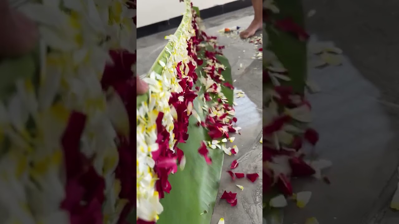 home decorating ideas #nature #video #trend #shortvideo
