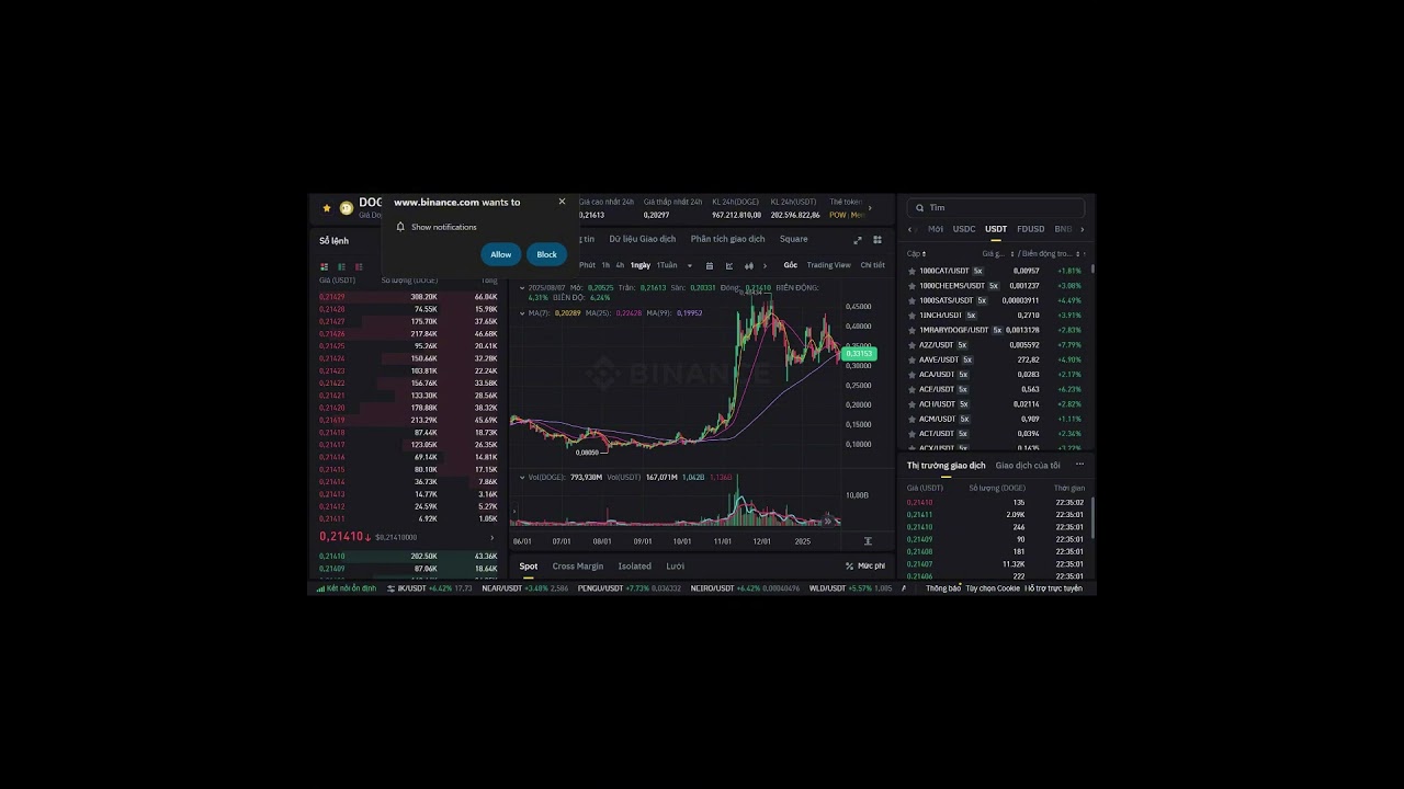 Cơ hội đầu tư DOGE Coin ngày 8/8 🚀