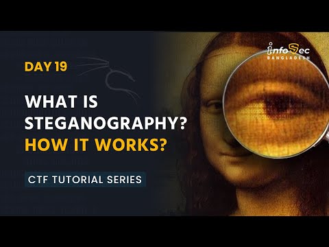 [বাংলা] Beginner To Advance CTF #Day-19 - What is Steganography | How Steganography Works |